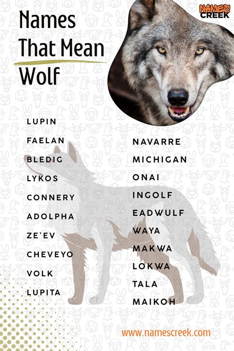 250 Wolf Names: Strong, Unique, And Unforgettable + AI Generator