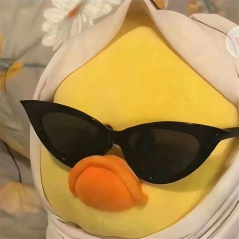 Image result for HTML Forms and Tables