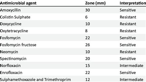 Image result for Enterococcus Antibiogram