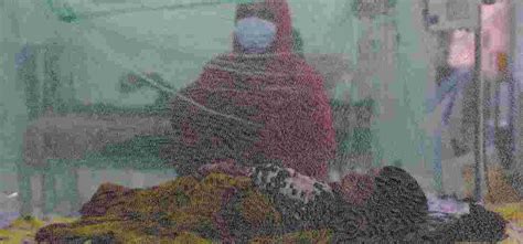 A Not So Favourable Balance Sheet of Malaria: Time To Reflect On ...