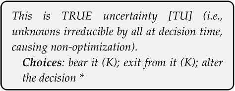 Uncertainty and Entrepreneurship: Acknowledging Non-Optimization and ...
