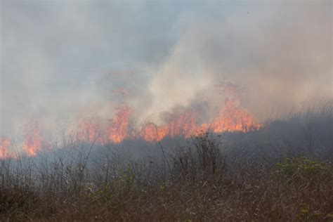 Crews gain control of brush fire in Rancho Palos Verdes near college ...