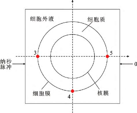 Image result for Simulation Model PNG