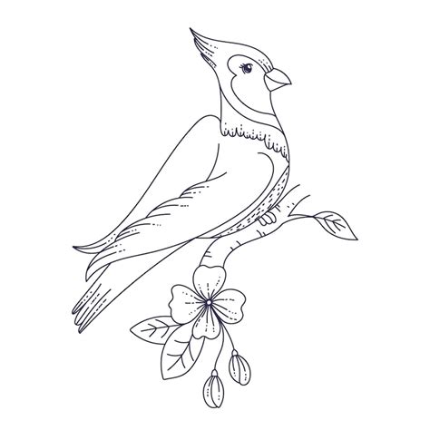 Bird line drawing Images - Free Download on Freepik