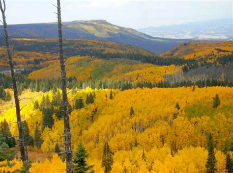 Learn Some Fun Facts about Colorado - Uncover Colorado
