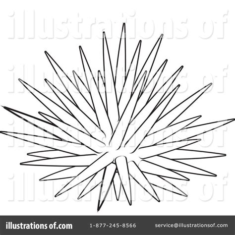 HOW TO DRAW SEA URCHIN | Sea urchins art, Drawings, Cartoon coloring pages
