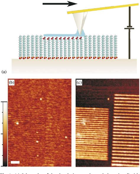 Image result for Liquid Phase AFM