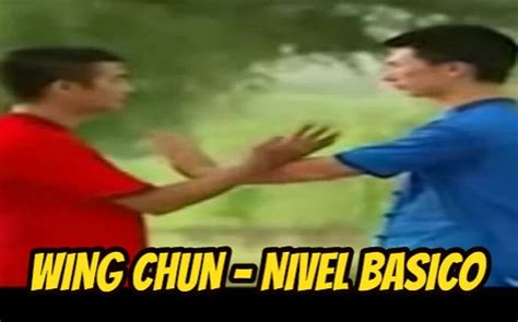 Image result for Tutorial Wing Chun