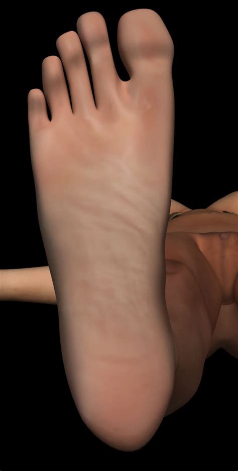 Image result for Lightwave Texturing Tutorial