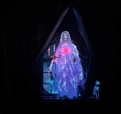 Image result for Haunted Mansion Bride Loop