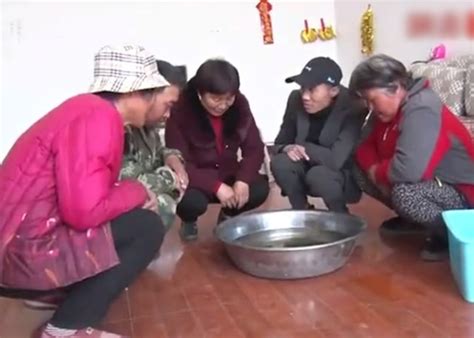山东枣庄男子在上海工地捡到“肉灵芝”太岁 价值900万元？ - 神秘的地球 科学|自然|地理|探索