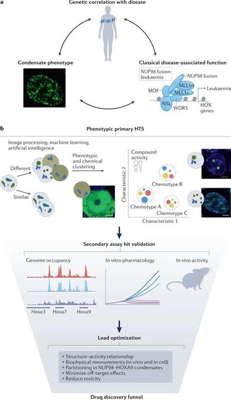 Process Body 的图像结果