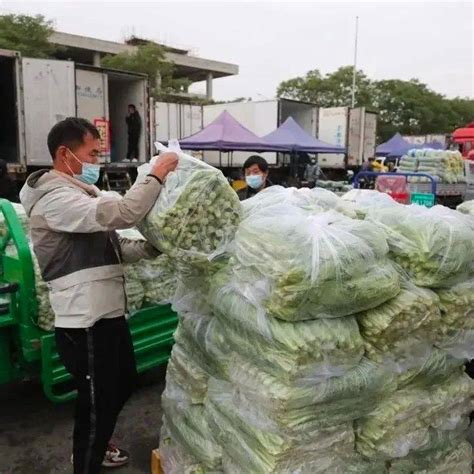 中国蔬菜流通协会农贸市场委员会长三角发展服务中心正式成立 - 知乎