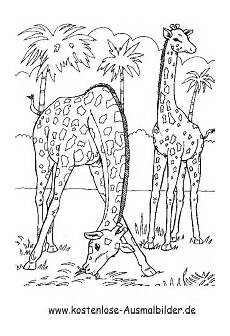 ausmalbilder jungle tiere ausmalbilder giraffen im dschungel tiere zum ausmalen ausmalbilder jungle tiere ausmalbilder giraffen im dschungel tiere zum ausmalen
