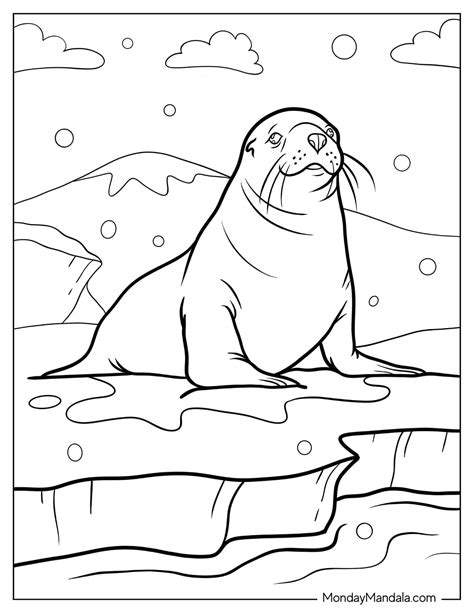 25 Seal Coloring Pages (Free PDF Printables)