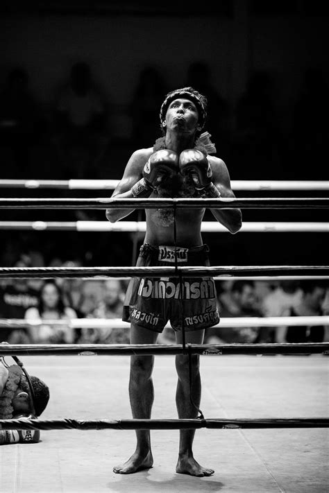 Muay Thai 的图像结果