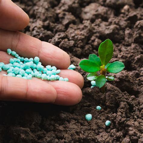 Fertilizers, bio pesticides, Biostumulant, Garden tools