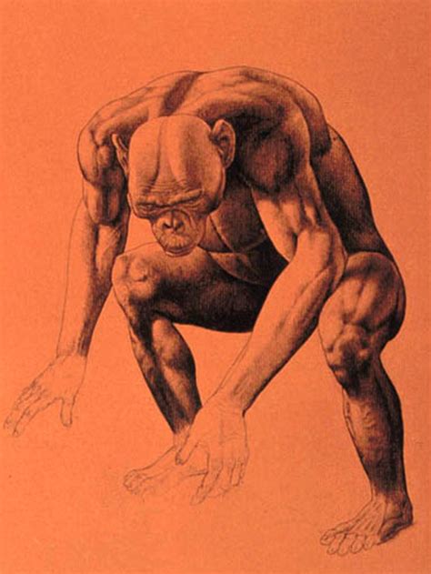 Image result for Australopithecus Reconstruction