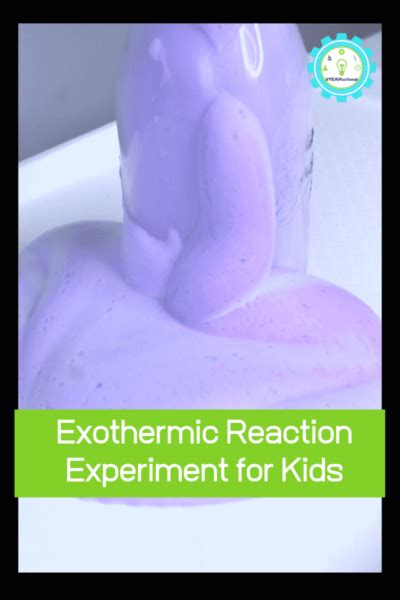 How to Make a Elephant Toothpaste Explosion 的图像结果