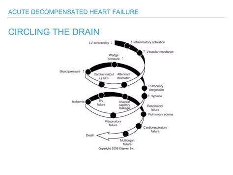Acute Decompensated Heart Failure | PPTX