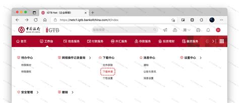如何导出中国银行明细（Excel文件）— 图文教程 - 自记账