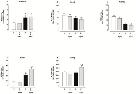 SARS-CoV-2 Spike Protein Enhances Carboxypeptidase Activity of ...