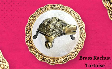 Buy Decora Dora Brass Kachua Tortoise for Gift Item for Vaastu Home ...