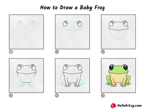 How to Draw a Baby Frog - HelloArtsy
