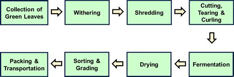 From leaf to cup : A journey through energy-efficient tea processing | CAG