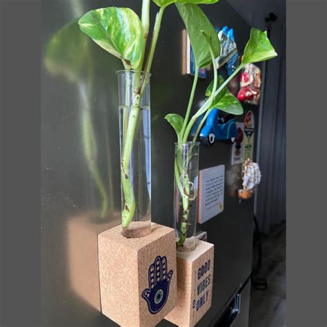 Kavi The Poetry-Art Project