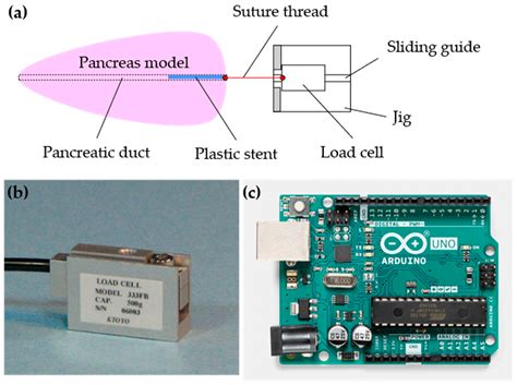 Antimigration Effects of the Number of Flaps on a Plastic Stent: Three ...