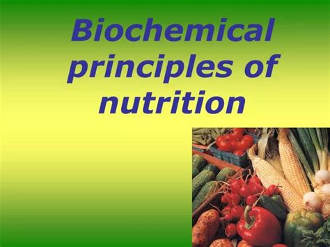 Biochemical Principles 的图像结果