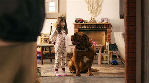 Kritika az Amikor a gonosz leselkedik