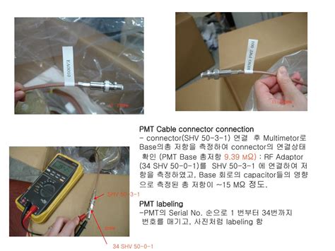 Image result for PMT Preparation Tips