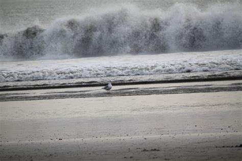 Prof.Abha Misra – Instrumentation and Applied Physics, IISc Bangalore