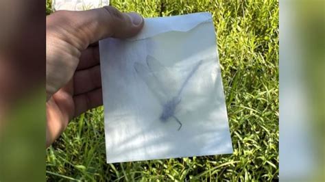 Elvis Presley’s humble beginnings in the Heartland remembered