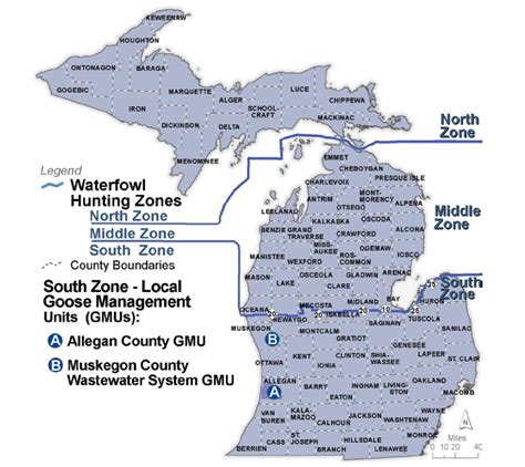 Michigan Waterfowl Hunting Seasons | Dates & Regulations - eRegulations ...