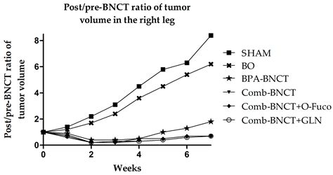 Therapeutic Efficacy, Radiotoxicity and Abscopal Effect of BNCT at the ...
