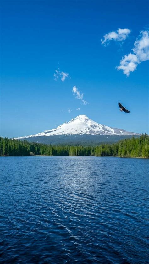 Adventure Travel Destinations 的图像结果