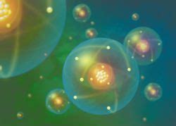 Image result for Subshell Definition