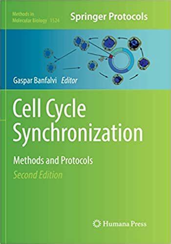 Image result for Cell Cycle Synchronization
