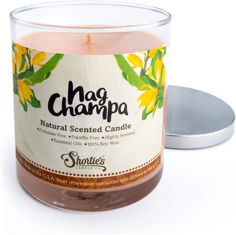 Amazon.com: Apples & Cinnamon Scented Natural Soy Candle, Essential Fragrance Oils, 100% Soy ...