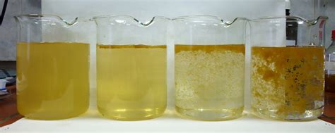 Tratamiento de aguas residuales y potable: Asesoría y equipos