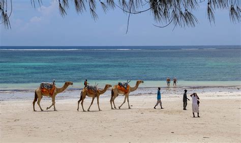 Where To Visit Africa December