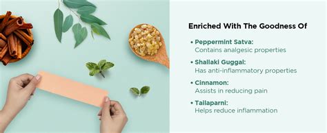 Pee safe Feminine Herbal Pain Relief Patches (Pack of 5) | Natural Pain ...