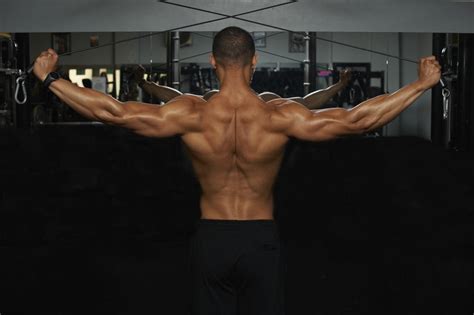 Image result for How to Develop Back Muscles