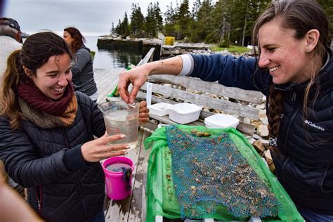 Diving Into Another Season — Hurricane Island Center for Science and ...