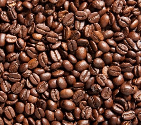 咖啡豆（制作咖啡的原料） - 搜狗百科