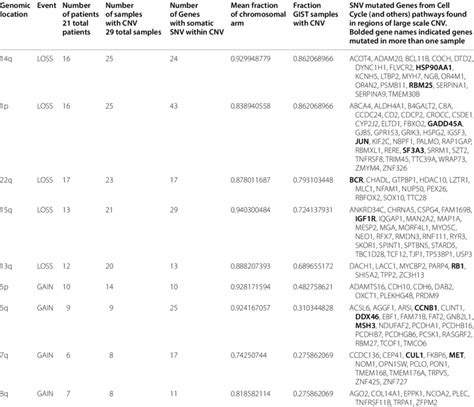 Image result for Level of Chromosomal Copy Number Variation