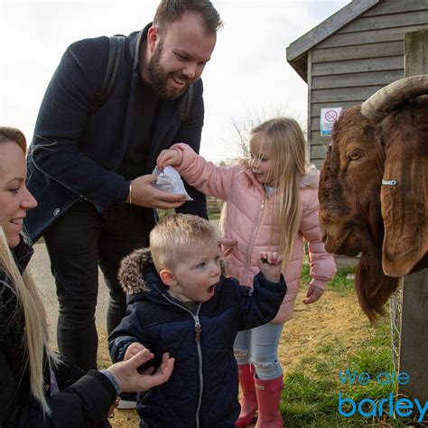 BARLEYLANDS FARM PARK (2026) All You Need to Know BEFORE You Go (with ...